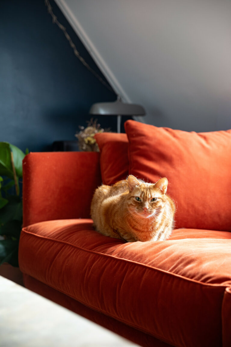 Un cocon perché de 52 m² à Paris (10)